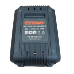Batería de iones de litio 20V-2.0Ah (FL)