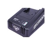 Cargador de 20V (FL)