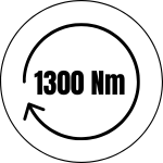 TORQUE-1300 nm